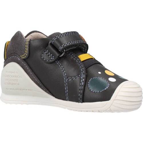Biomecanics 211147 Cinza
