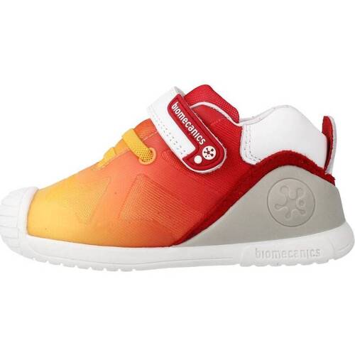 Biomecanics 222160B Laranja