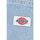 Textil Mulher Calças Dickies ELLENDALE DENIM Azul