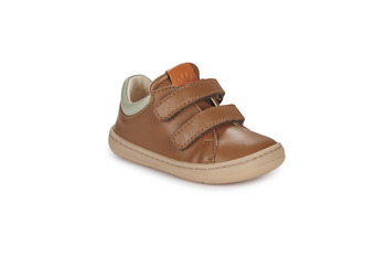 Sapatos Rapaz Sapatilhas Easy Peasy MY DUCKIE'S VELCRO Castanho