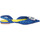 Sapatos Mulher Sandálias The Goal Digger EX556 Azul