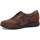Sapatos Mulher Sapatilhas Gasymar 9991 Castanho
