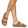 Sapatos Chinelos BIRKENSTOCK Arizona LEVE Mink Regular