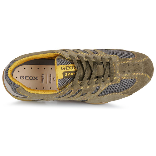 Geox U SNAKE ORIGINAL Bege