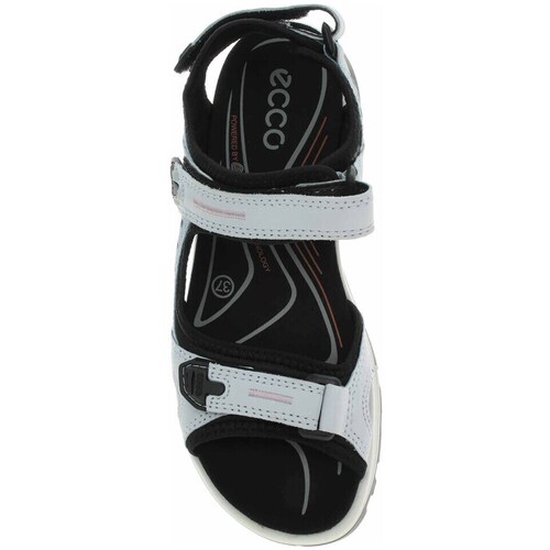 Ecco 06956360563 Azul