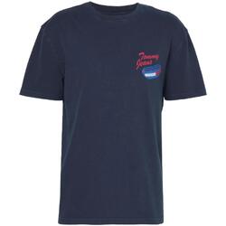 Textil Homem T-Shirt mangas curtas Tommy Hilfiger  Azul
