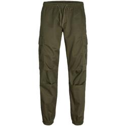 Textil Homem Calças Jack & Jones  Verde