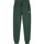 Textil Homem Calças Colmar  Verde