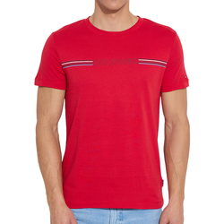 Textil Homem T-shirts e Pólos Tommy Hilfiger  Vermelho