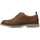 Sapatos Mulher Sapatos Kickers Kick Levy Castanho