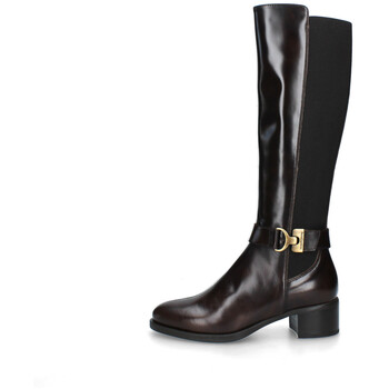 Sapatos Mulher Botas NeroGiardini I411750D Castanho