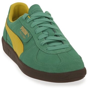 Sapatos Homem Sapatilhas Puma Palermo Verde