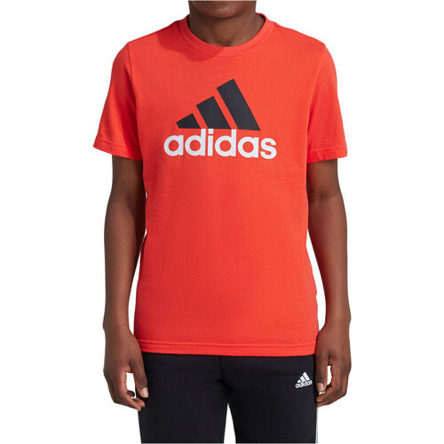 Textil Criança Polos mangas curta adidas Originals X_U BL 2 TEE Multicolor