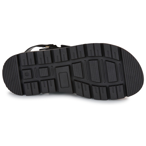 JB Martin CLEM Preto
