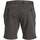 Textil Homem Shorts / Bermudas Teeshoppen Performance Cinza