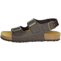 Sapatos Homem Sandálias Novaflex NOVI Castanho