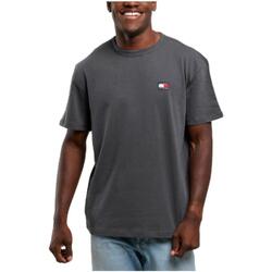 Textil Homem T-Shirt mangas curtas Tommy Hilfiger  Cinza