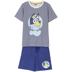 Textil Rapaz Pijamas / Camisas de dormir Garvalin 2900002043 Azul