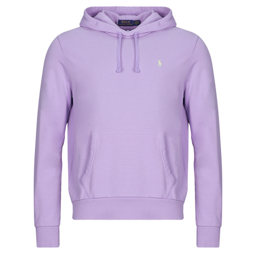 Textil Homem Sweats Polo Ralph Lauren SWEATSHIRT CAPUCHE EN MOLLETON TERRY Lilás / Céu / Lavanda