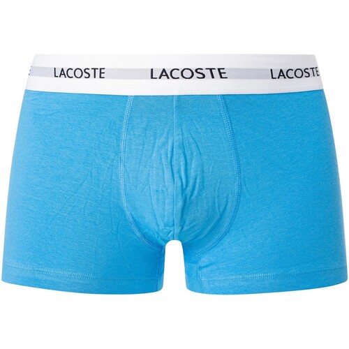 Lacoste 3 packs de calções elásticos de algodão Azul