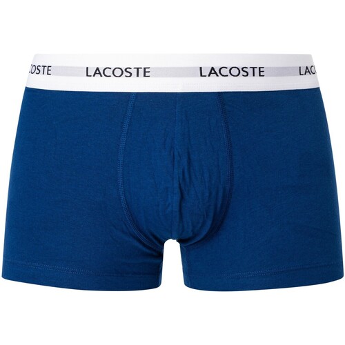 Lacoste 3 packs de calções elásticos de algodão Azul