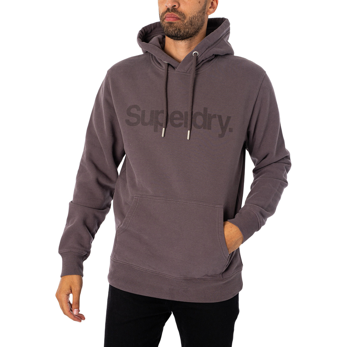 Textil Homem Sweats Superdry Moletom com capuz com logotipo da cidade Cinza