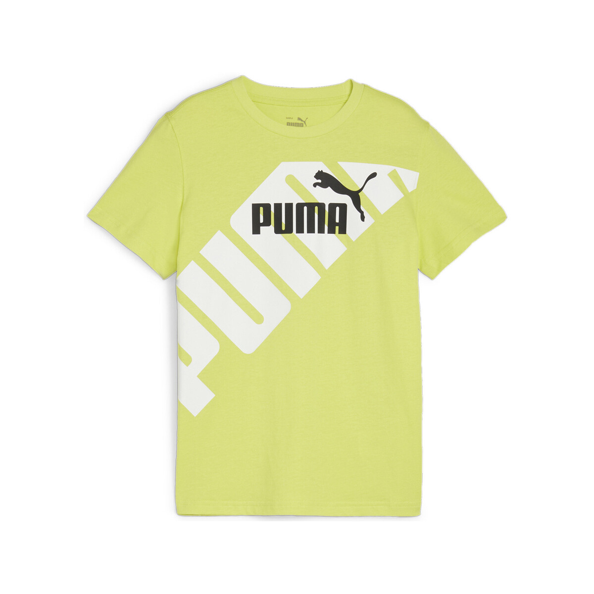 Textil Rapaz T-shirts e Pólos Puma  Verde