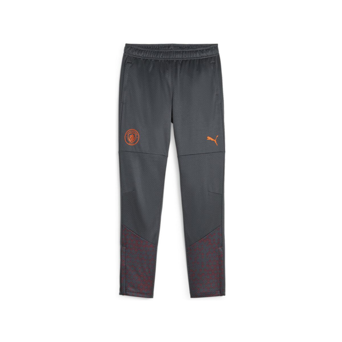 Textil Rapaz Calças de treino Puma  Cinza