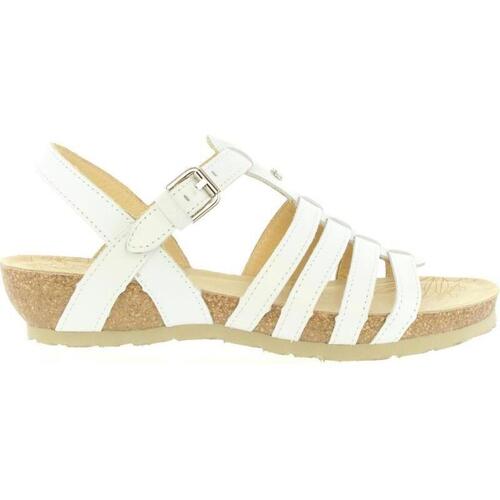 Sapatos Mulher Sandálias Panama Jack DUNA BASICS B4 DUNA BASICS B4