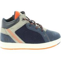 Sapatos Rapaz Botas baixas Timberland A1URG DAVIS A1URG DAVIS