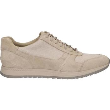 Sapatos Homem Multi-desportos Timberland A21XC MADAKET A21XC MADAKET