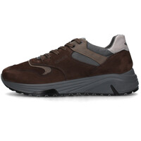 Sapatos Homem Sapatilhas IgI&CO 6639822 Castanho