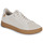 Sapatos Homem Sapatilhas Saola CANNON KNIT 2.0 Bege