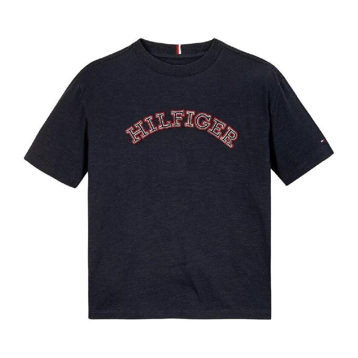 Textil Rapaz T-Shirt mangas curtas Tommy Hilfiger  Azul