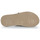 Sapatos Homem Chinelos Rip Curl REACTOR OPEN TOE Castanho