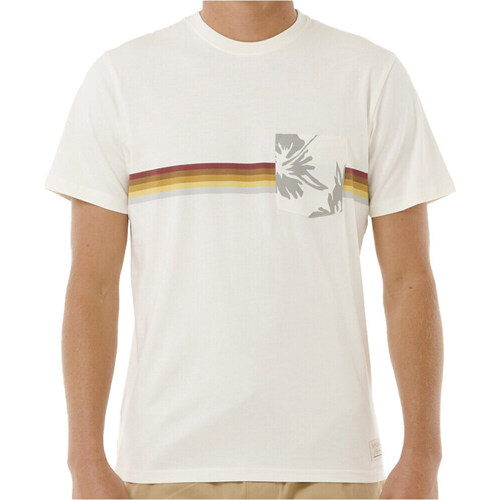 Textil Homem Polos mangas curta Rip Curl SURF REVIVAL HOFFMAN POCKET TE Multicolor