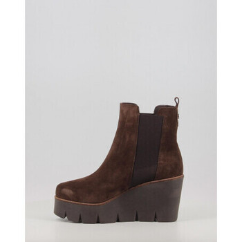 Alpe SASHA 4549 Castanho