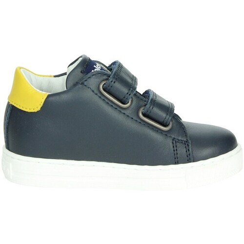 Falcotto 0012017618.01.1C67 Azul