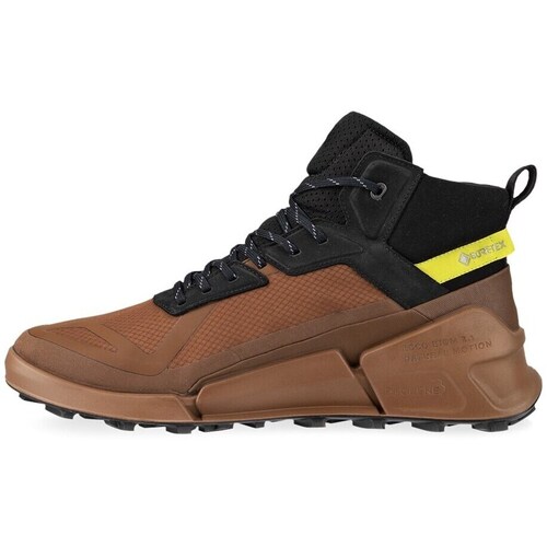 Ecco Biom 2.1 Mountain Mid Gtx Castanho, Preto