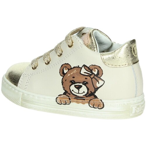 Falcotto 0012018079.02.2N13 Multicolor