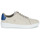 Sapatos Homem Sapatilhas Timberland SENECA BAY Cinza