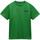 Textil Homem Polos mangas curta Napapijri S-LINTH SS G1T Verde