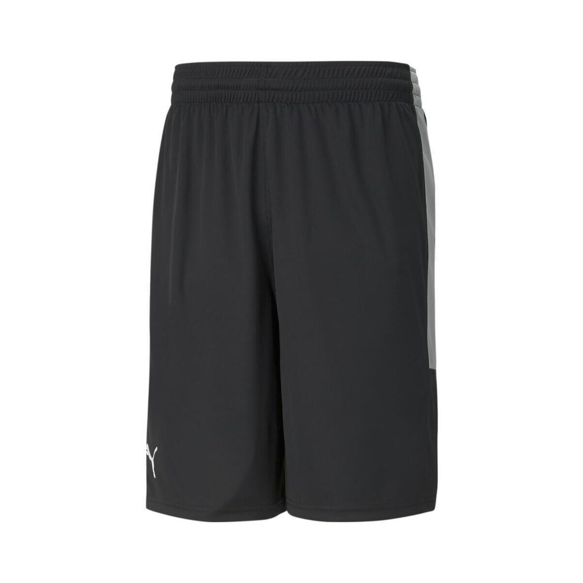 Textil Homem Shorts / Bermudas Puma  Preto