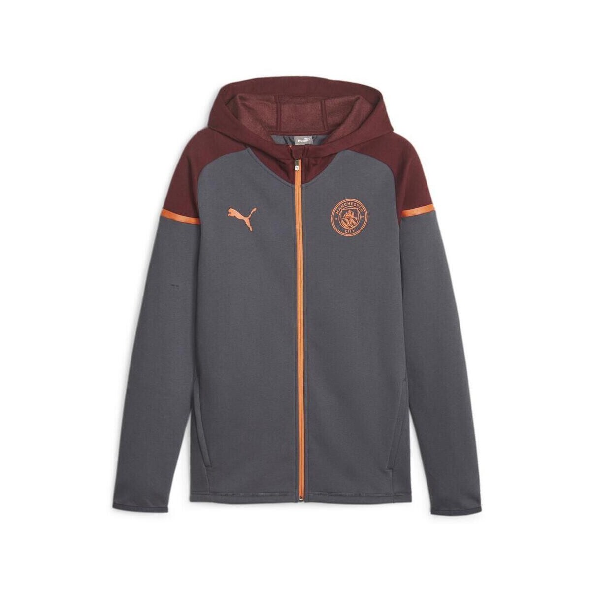 Textil Homem Sweats Puma  Cinza