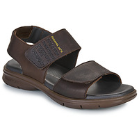 Sapatos Homem Sandálias Panama Jack RUSELL Castanho