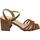 Sapatos Mulher Sandálias Evaluna 1705 Castanho