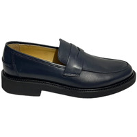 Sapatos Homem Mocassins Fedeni 413 Outros