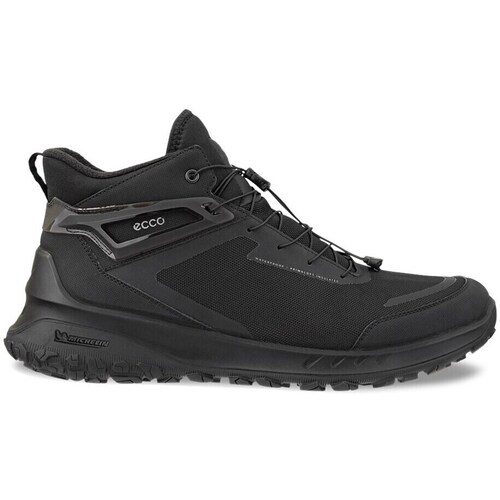 Sapatos Homem Botas baixas Ecco Ult-trn Preto
