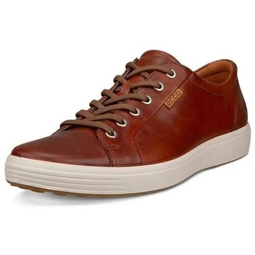 Sapatos Homem Sapatilhas Ecco Soft 7 Castanho