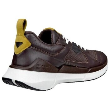 Ecco Biom 2.2 Gtx Castanho